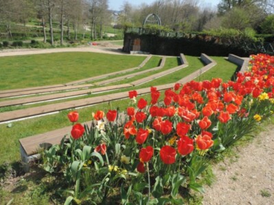Le parc de Coex, les tulipes