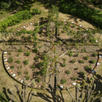 Le muret fleuri