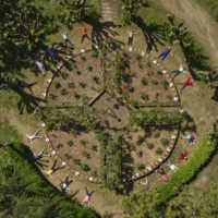 Le muret fleuri